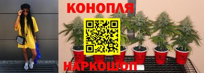 гидропоника Кунгур
