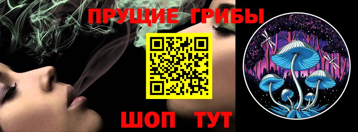 Псилоцибиновые грибы Камышин