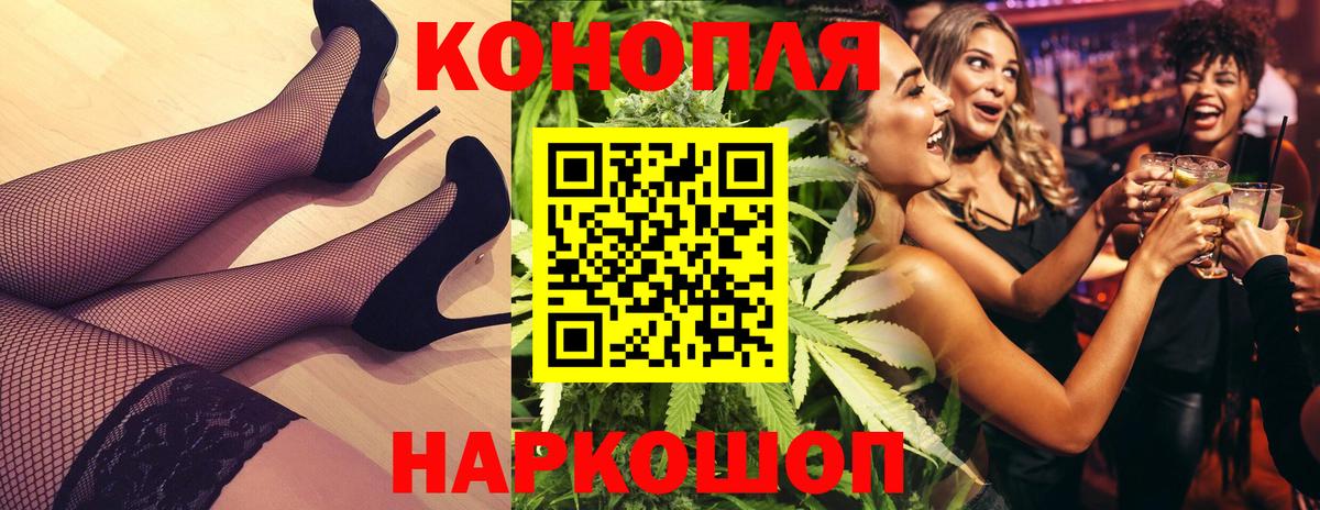 Камышин  Канабис сатива  МАРИХУАНА Bruce Banner  Вход с VPN  Канабис планчик  Конопля гибрид 